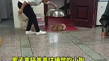 男子拿锅盖盖住睡觉的小狗，小狗被吓醒，到底谁是狗？
