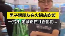 男子和朋友在火锅店用餐一只老鼠正盯着他们