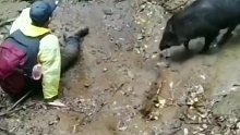 路上遇到野猪，跑的鞋都掉了