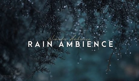 雨声-搜索-专找直播-虎牙直播