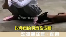舔狗的正确打开方式