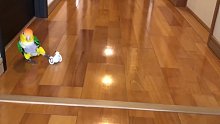 你个怂鸟！！！
