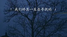 我一生都在寻找的