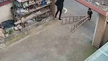 奶奶误将梯子碰倒身体悬空，孙子用尽全力将梯子抬起救奶奶