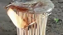舌尖上的美食