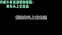 司机午夜高速慌张报警：我不知道我撞了什么，我车头上全是血