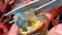 剪小龙虾教程，这在处理特别干净，学会了吗。