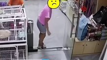 女孩用玻璃门夹住小猫致死，店主：猫仔才刚出生没多久！