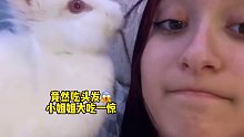 小姐姐养一只小白兔当宠物，不料长大后让人大吃一惊