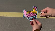 这是什么脑残烟花，母鸡下蛋