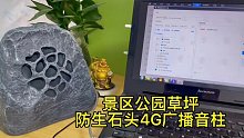 盾王景区公园草坪4G广播音柱防生石头广播对讲音柱