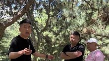这一招真是无招胜有招，最主要还是怕被你讹上