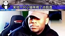 猫：假酒太迷糊了