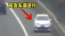 女子应急车道逆行，还说不是自己的问题