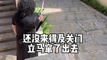 狗狗我呀，又被抓住啦