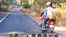 狭路相逢……快跑