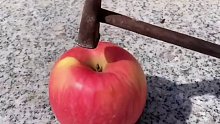 卧槽！中计了