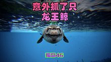 方舟生存进化 孤岛46 太意外，抓了一头龙王鲸