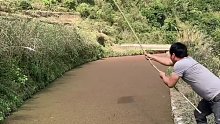 田里的鱼太狡猾，总是拉到一些河拼