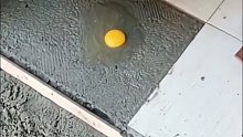大爷对我真好
