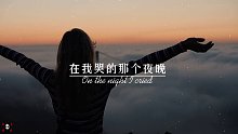 我真的好希望，在我苦的那个夜晚，有个人会明白