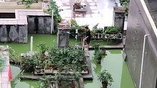 女子无意看到对面顶楼，拉近一看让她惊呆：楼下住户承受了太多