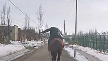 喝醉了骑马算酒驾吗？这操作都看傻了