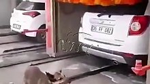 你回去给我拿10块钱来，要不下次不让你洗了
