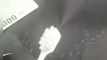 男子质疑牙刷没有一万根刷毛，特意剪下来数了数，结果……