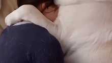 大狗抱着主人睡觉，主人：这令人窒息的安全感