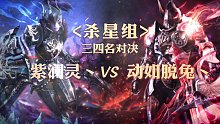 三四名决赛-杀星组-紫澜灵丶vs动如脱兔丶