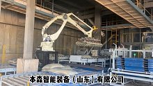 袋料机器人码垛机和高位码垛机有什么区别 本森专利研发生产