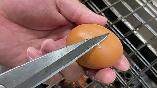 烤鸡蛋做法 技术烧烤