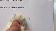 猫咪“签”绝育同意书后 感觉从此生活没有了意义 “猫猫我啊 没有信仰了”