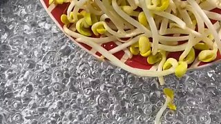美食來咯~~~ (910)