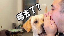 狗：这是人能干出来的事？