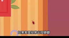 家里经常出现蟑螂怎么办？