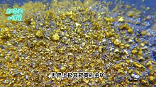 世界上极其寂寞的金矿，遍地都是黄金，为何却无人有胆量去开采？