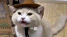 猫咪想发声撒娇，结果发现自己莫名变公鸭嗓了