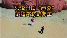 沙漠出现“巨婴”，沉睡了将近两年