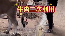这就是“阿拉蕾”吗？