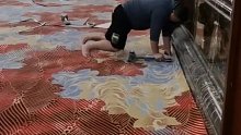 装修工人跪在地上，用膝盖猛锤工具铺装地毯，隔着屏幕都能感觉到疼！
