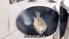 炖鱼需谨慎，咱的肉太嫩，一个不小心，肯定被鱼阴 #搞笑配音