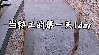 我生來平平淡淡，沒有顯赫家世，沒有傾城面貌。