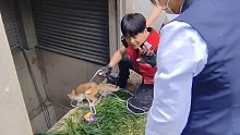 被困一个月脱困后，盯着猫咪消防员的眼神！猫：我得救了吗