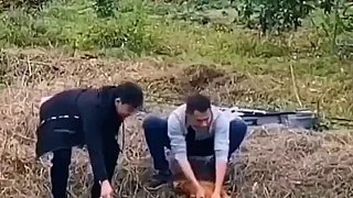 抓魚神操作，結(jié)局亮了！