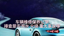 汽车维修保养记录查看4S店的维保记录以及排查是否火烧泡水等重大事故
