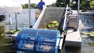 生态收割机，更有效的清除湖面水草！