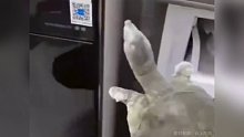 男子将乌龟放在冰箱冬眠，想冲水让他复活，乌龟：我谢谢你啊