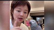 不仅会说湖南话，还敢喊女主人“老六”，鹦鹉小宝到底有多聪明？